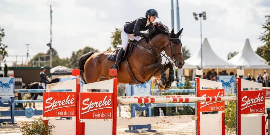 01_hs-sportpferde-springreiten-01