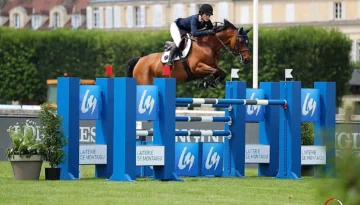 RMF Tinkerbell – Sport horse at HS Sporthorses