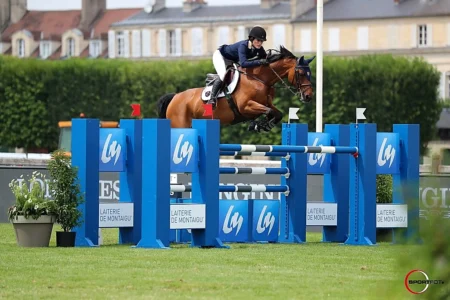 RMF Tinkerbell – Sport horse at HS Sporthorses
