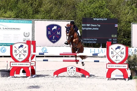 RMF Chacco Top – Sport horse at HS Sporthorses