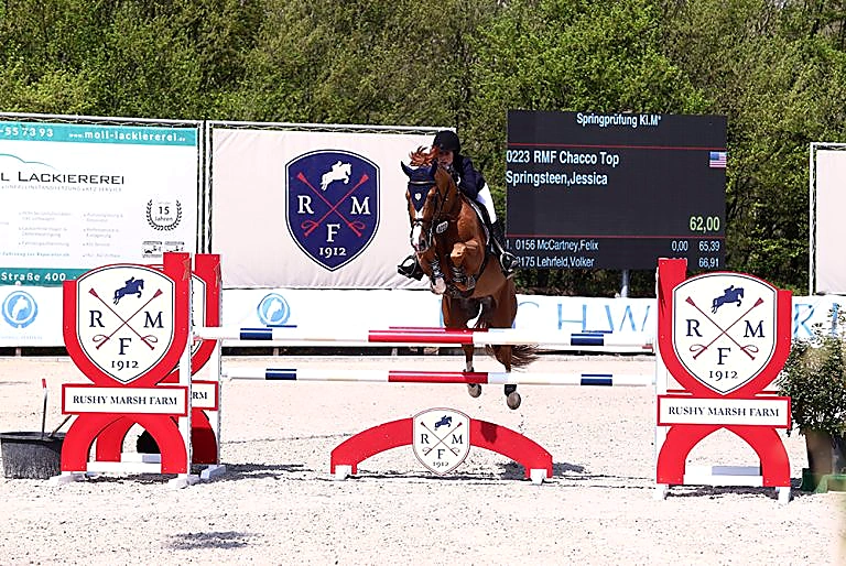 RMF Chacco Top – Sport horse at HS Sporthorses