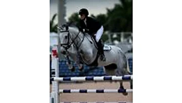 Centaya – Sport horse at HS Sporthorses