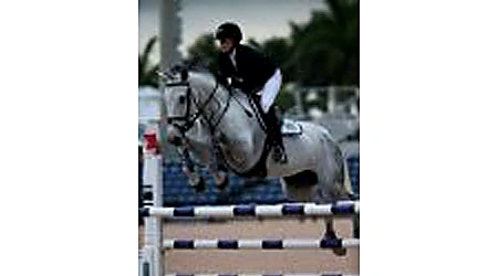 Centaya – Sport horse at HS Sporthorses