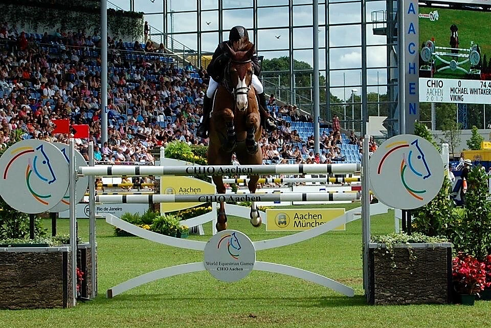 Viking – Sport horse at HS Sporthorses