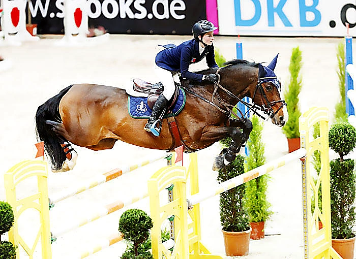 Cupido Z – Sport horse at HS Sporthorses