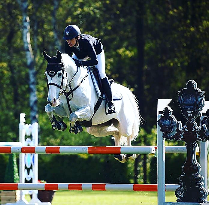 Charlieboy – Sport horse at HS Sporthorses