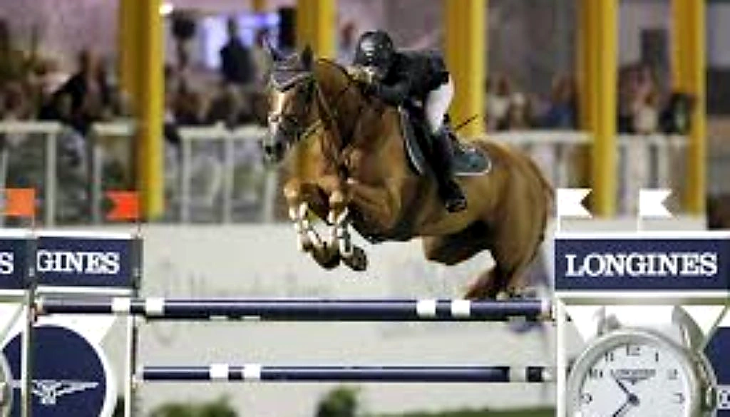 Lizziemary – Sport horse at HS Sporthorses