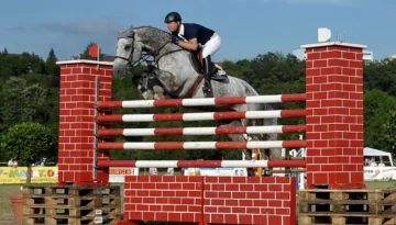 Carlo – Sport horse at HS Sporthorses