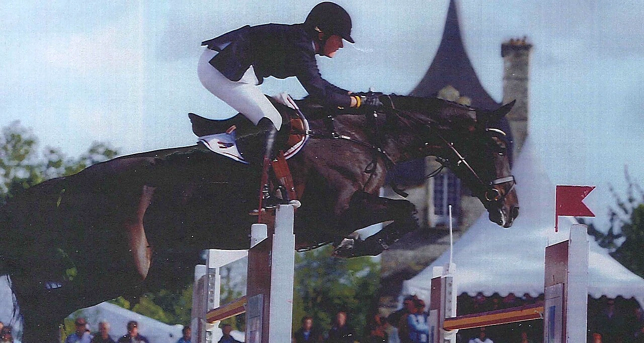 Paramis – Sport horse at HS Sporthorses