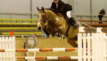 Quilano – Sport horse at HS Sporthorses