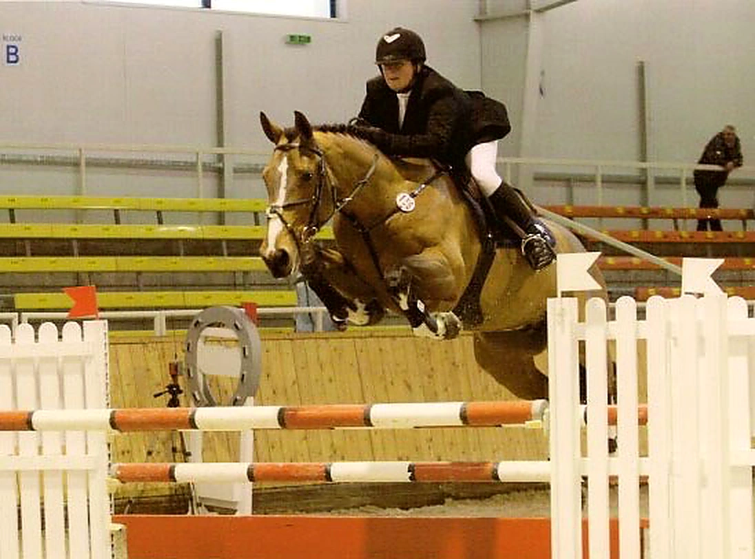 Quilano – Sport horse at HS Sporthorses