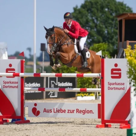 17_hs-sportpferde-springreiten-05