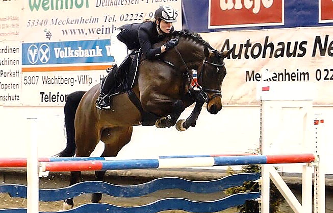 Con Amore – Sport horse at HS Sporthorses