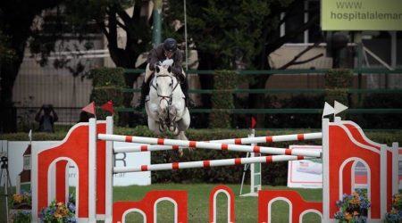 Internationally successful - Qualified for the World Equestrian Games 2014