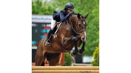 Internationally successful, 1st Reserve Junior Hunter Champion