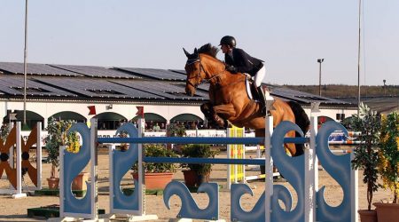 Internationally successful up to 1.45m  Croatian Champion Young Riders