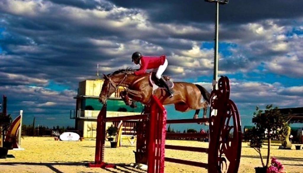 Nobless Z – Sport horse at HS Sporthorses