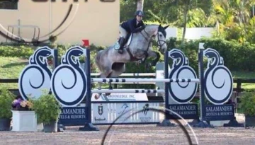 Catara – Sport horse at HS Sporthorses