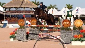 Chintan Z – Sport horse at HS Sporthorses
