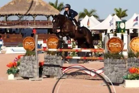 Chintan Z – Sport horse at HS Sporthorses