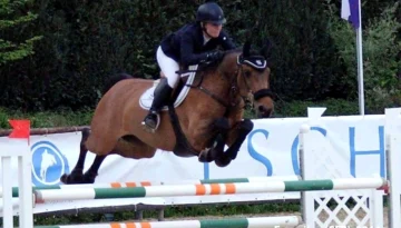 Virginia – Sport horse at HS Sporthorses