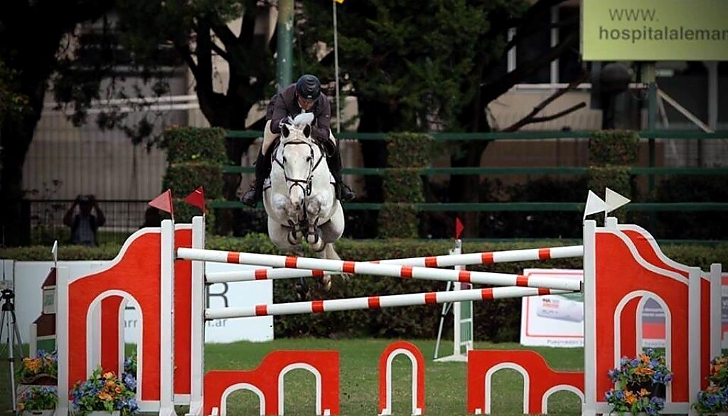 Charlie K – Sport horse at HS Sporthorses