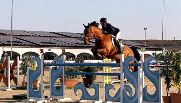 Fortune Forever – Sport horse at HS Sporthorses