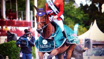 Bonanza – Sport horse at HS Sporthorses