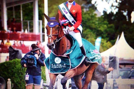 Bonanza – Sport horse at HS Sporthorses