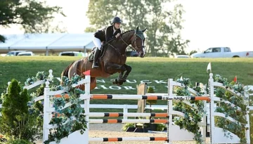 Kahlua – Sportpferd bei HS Sportpferde
