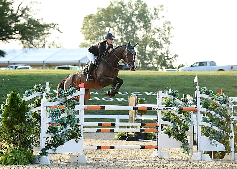 Kahlua – Sport horse at HS Sporthorses