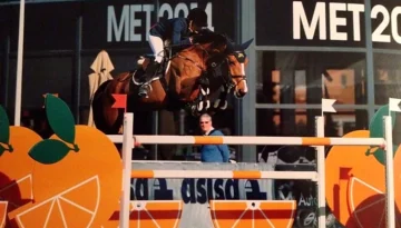 Camilla – Sportpferd bei HS Sportpferde