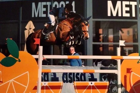 Camilla – Sportpferd bei HS Sportpferde