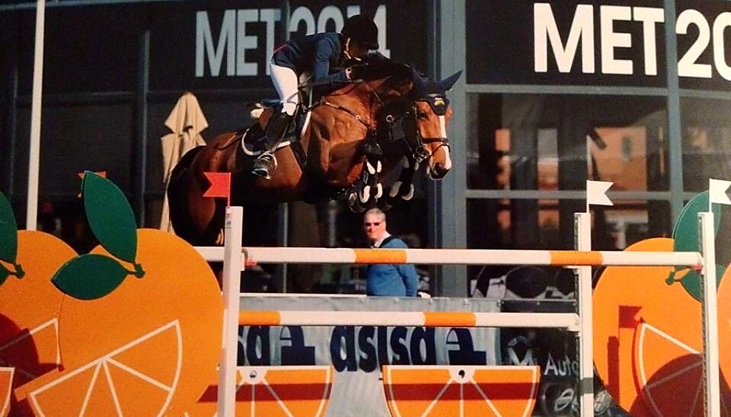Camilla – Sport horse at HS Sporthorses
