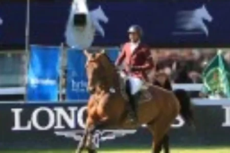 Arizona Pie – Sportpferd bei HS Sportpferde