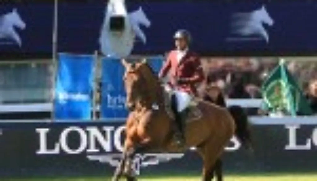 Arizona Pie – Sport horse at HS Sporthorses