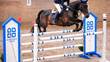 Elmrose – Sportpferd bei HS Sportpferde