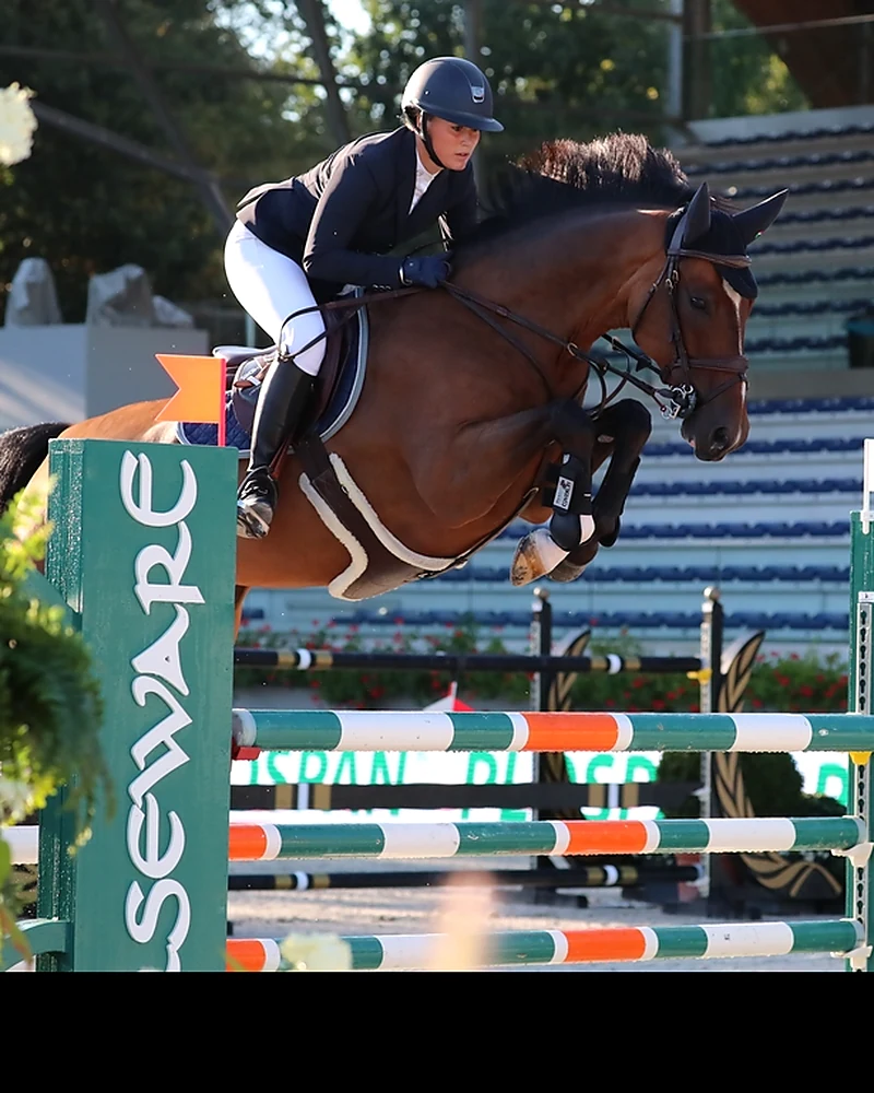 Lopez – Sportpferd bei HS Sportpferde