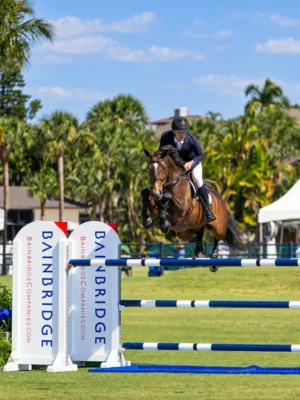 Tony Stormanns – Referenz HS Sportpferde
