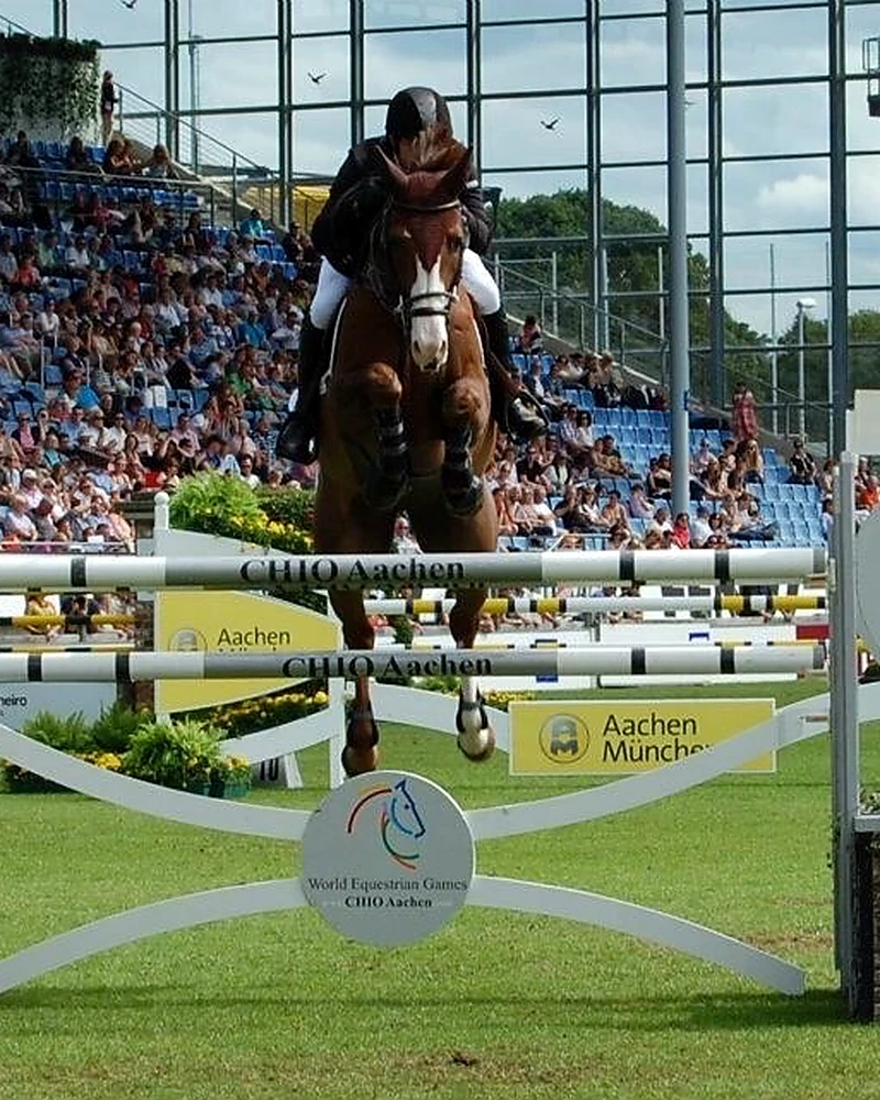 Viking – Sportpferd bei HS Sportpferde